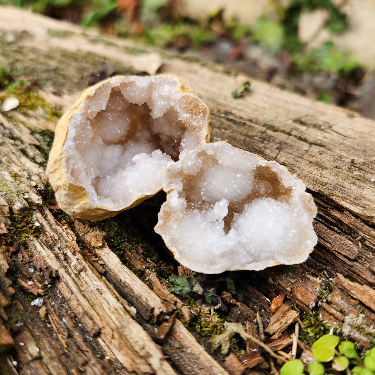 Géode en Cristal de roche - Petite - n°1