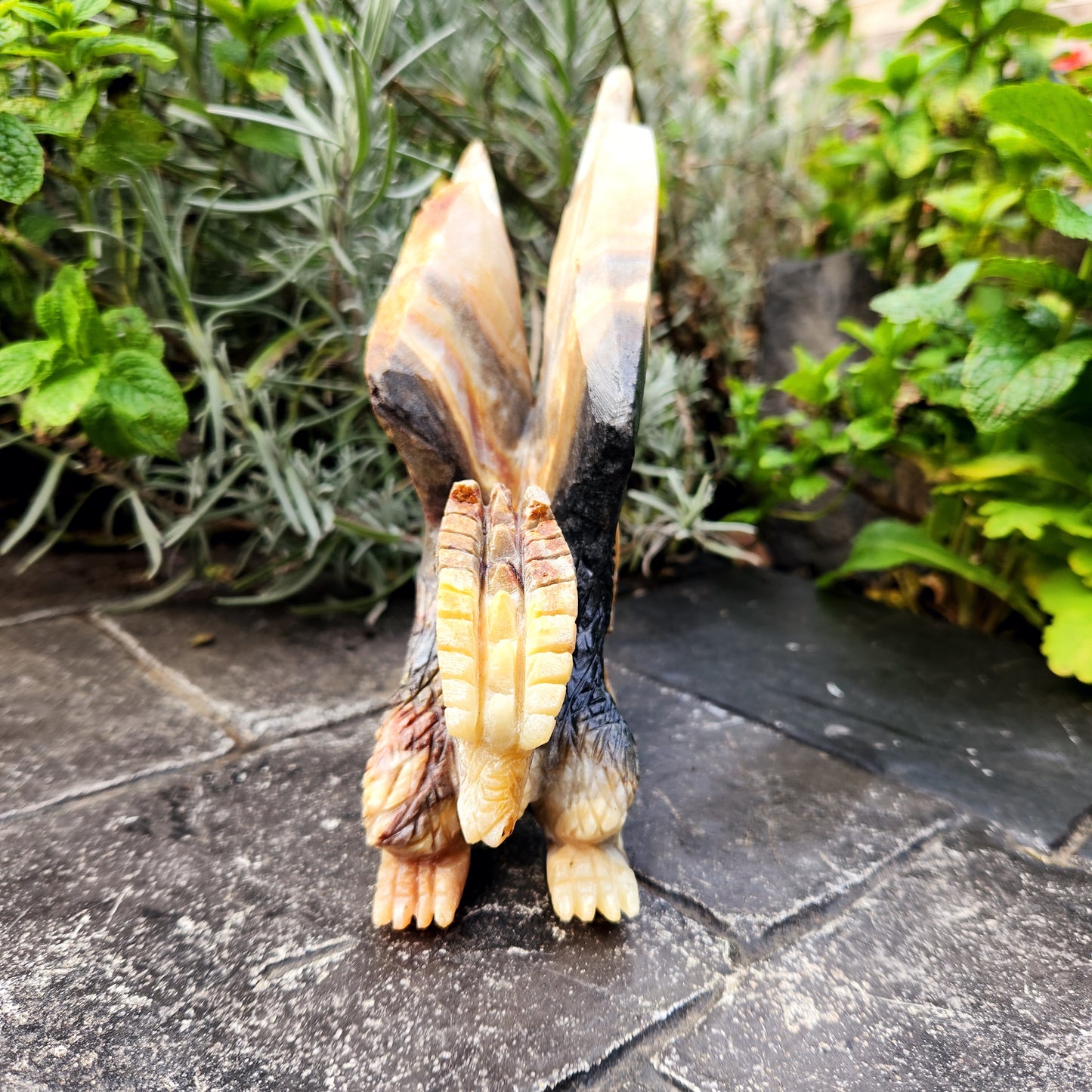 Sculpture de Dragon en Jaspe - n°1