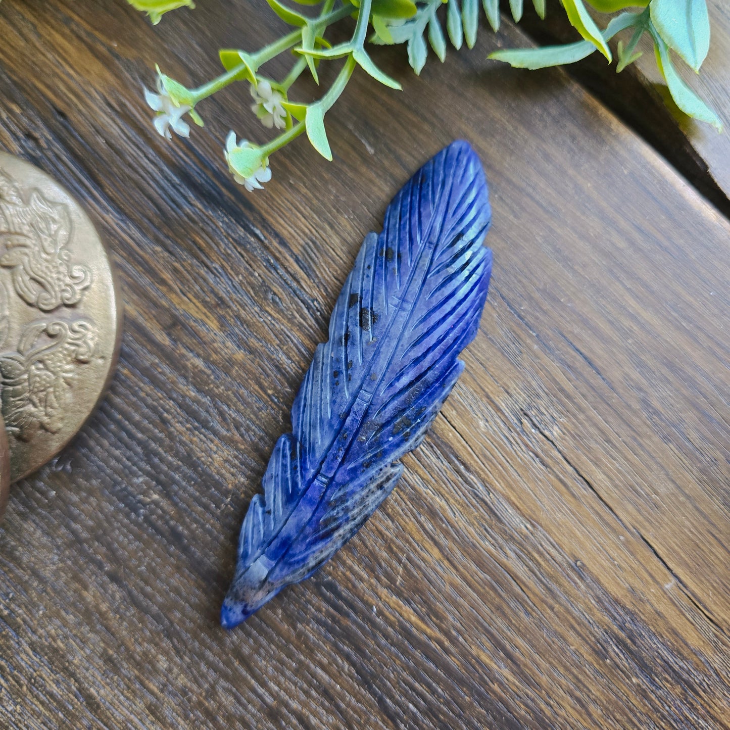 Plume en Sodalite - n°1