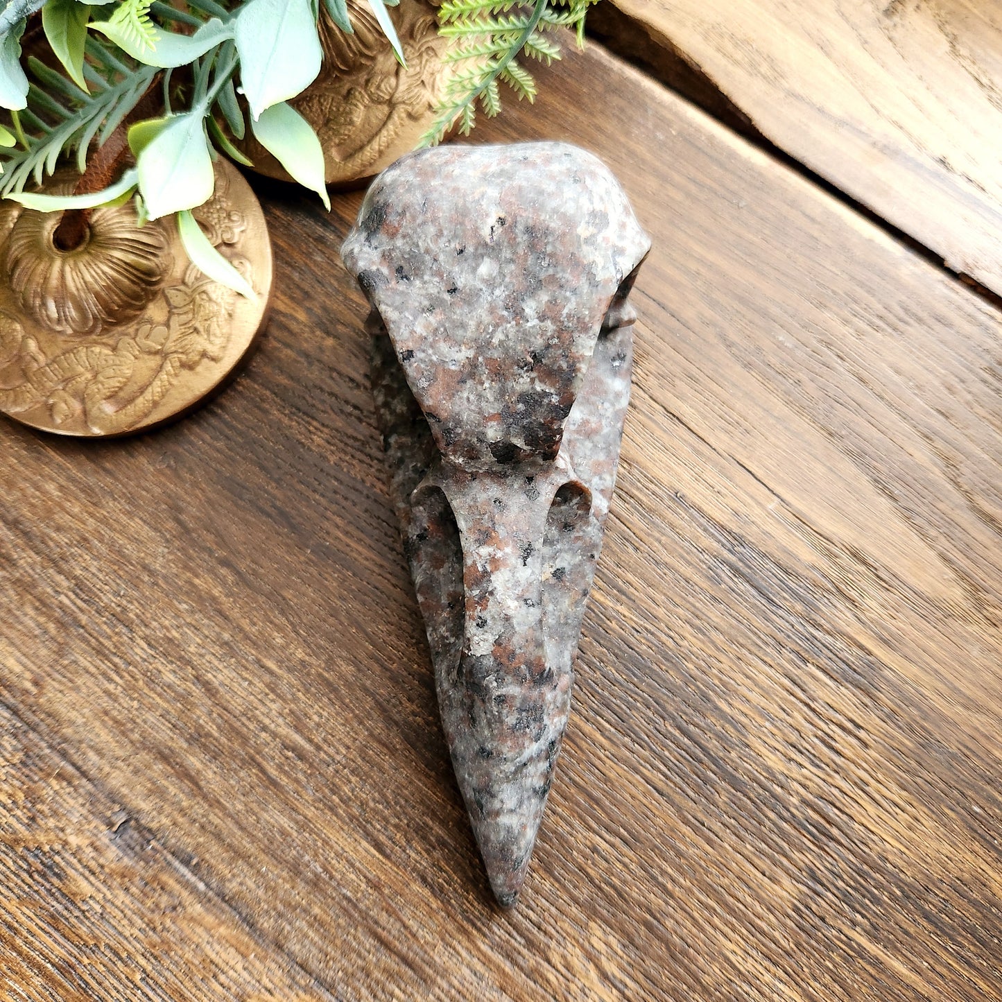 Crâne de corbeau en Yooperlite
