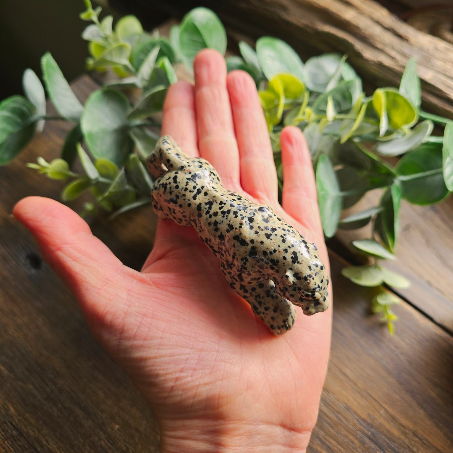 Léopard en Jaspe dalmatien - n°1