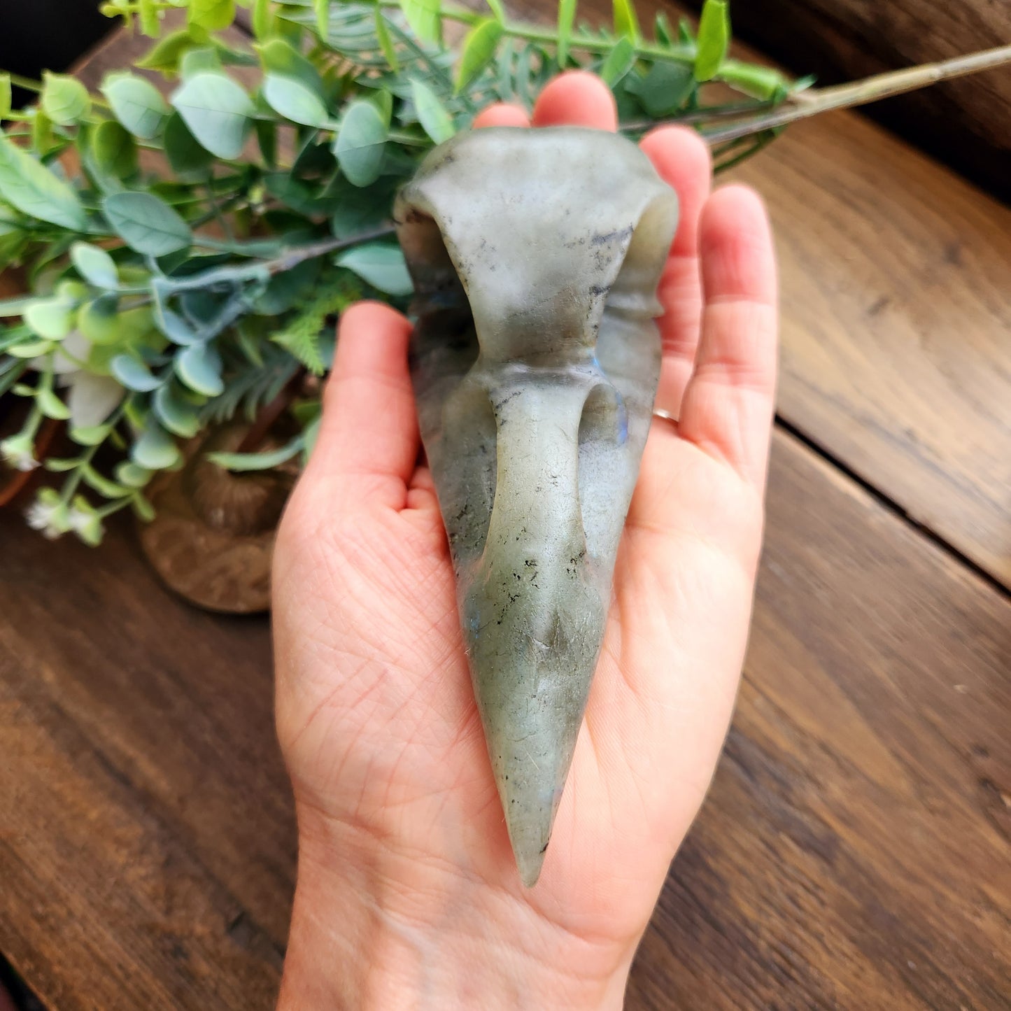 Crâne de corbeau en Labradorite