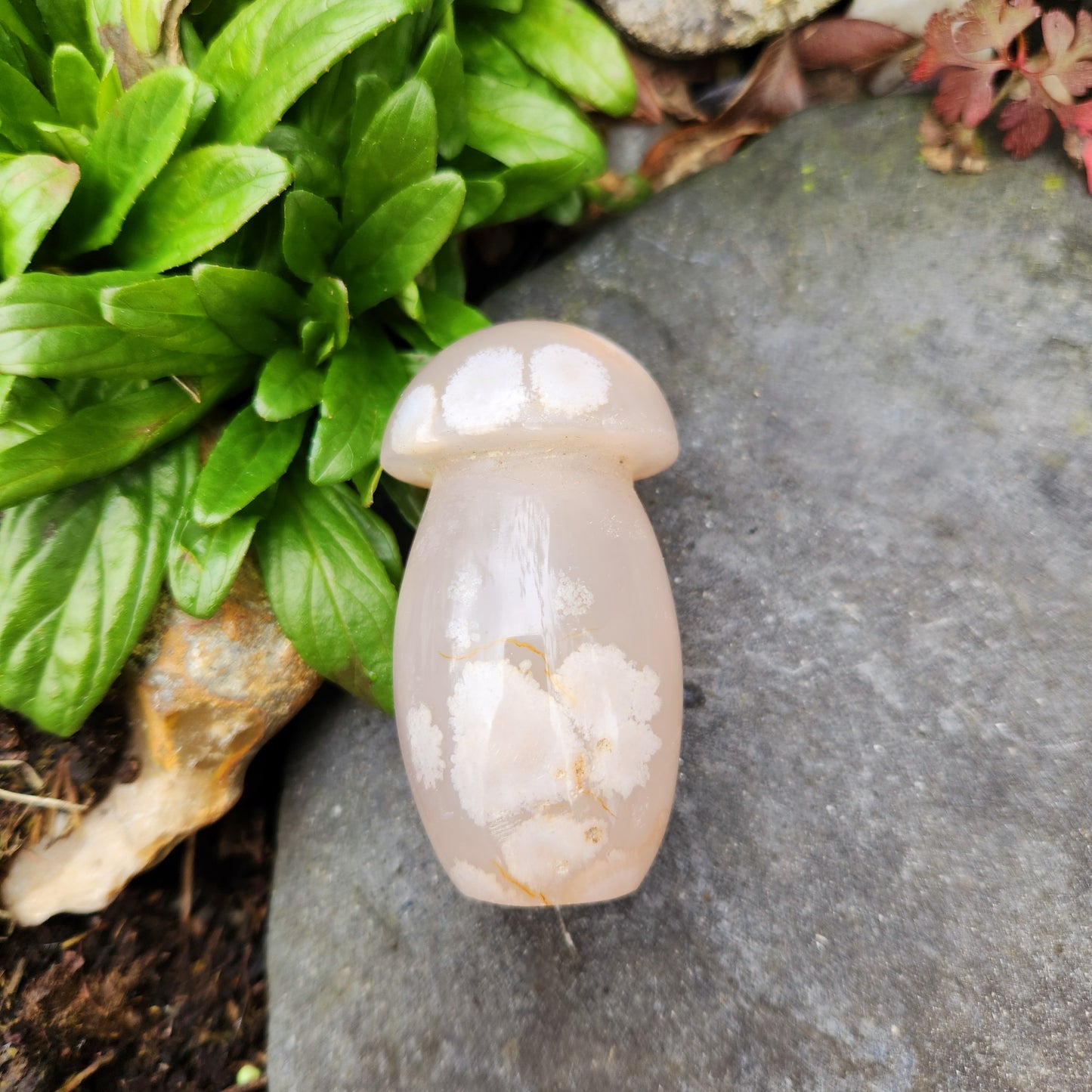 Champignon en Agate fleur - n°3