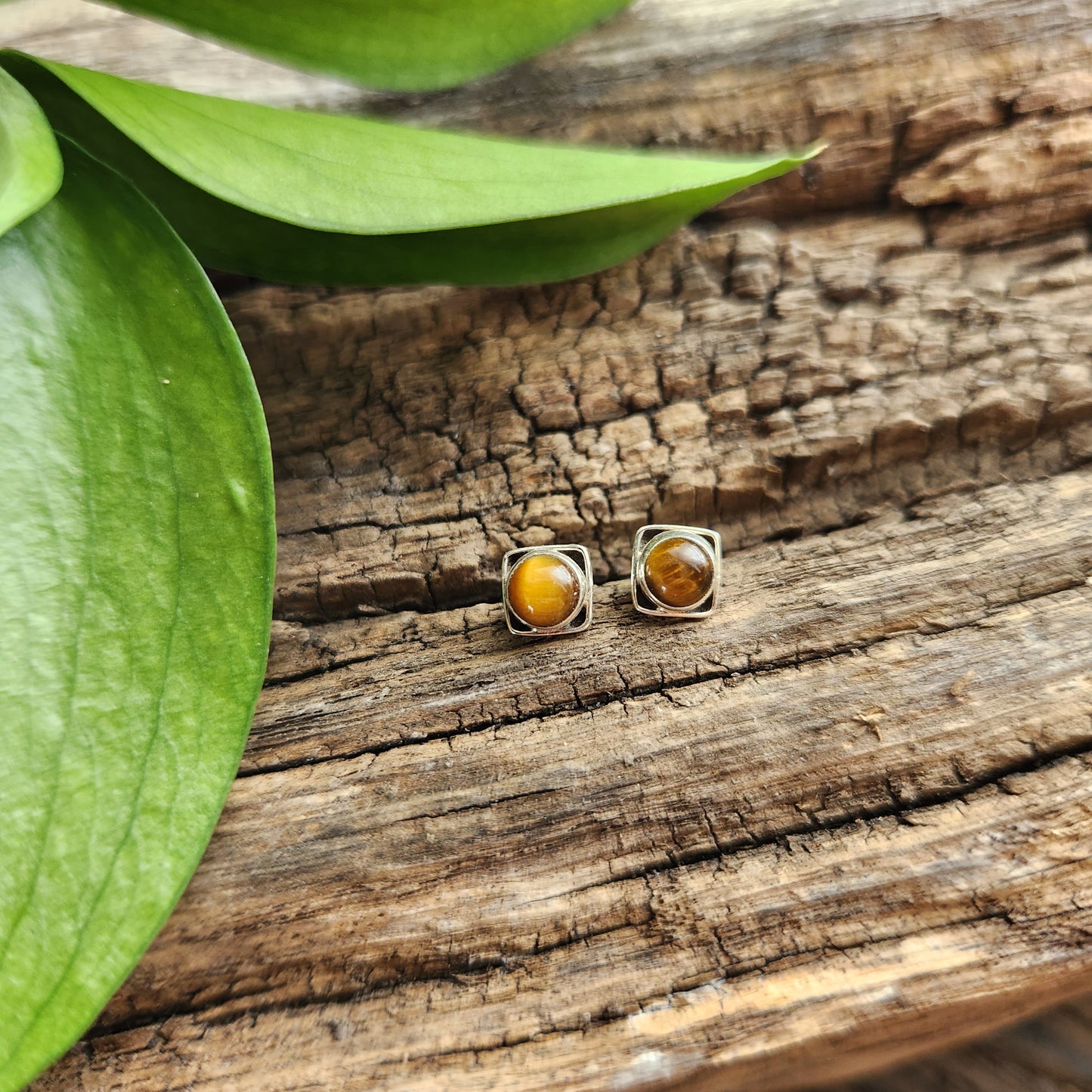Boucles d'oreilles en Œil de tigre - Clous - Argent 925
