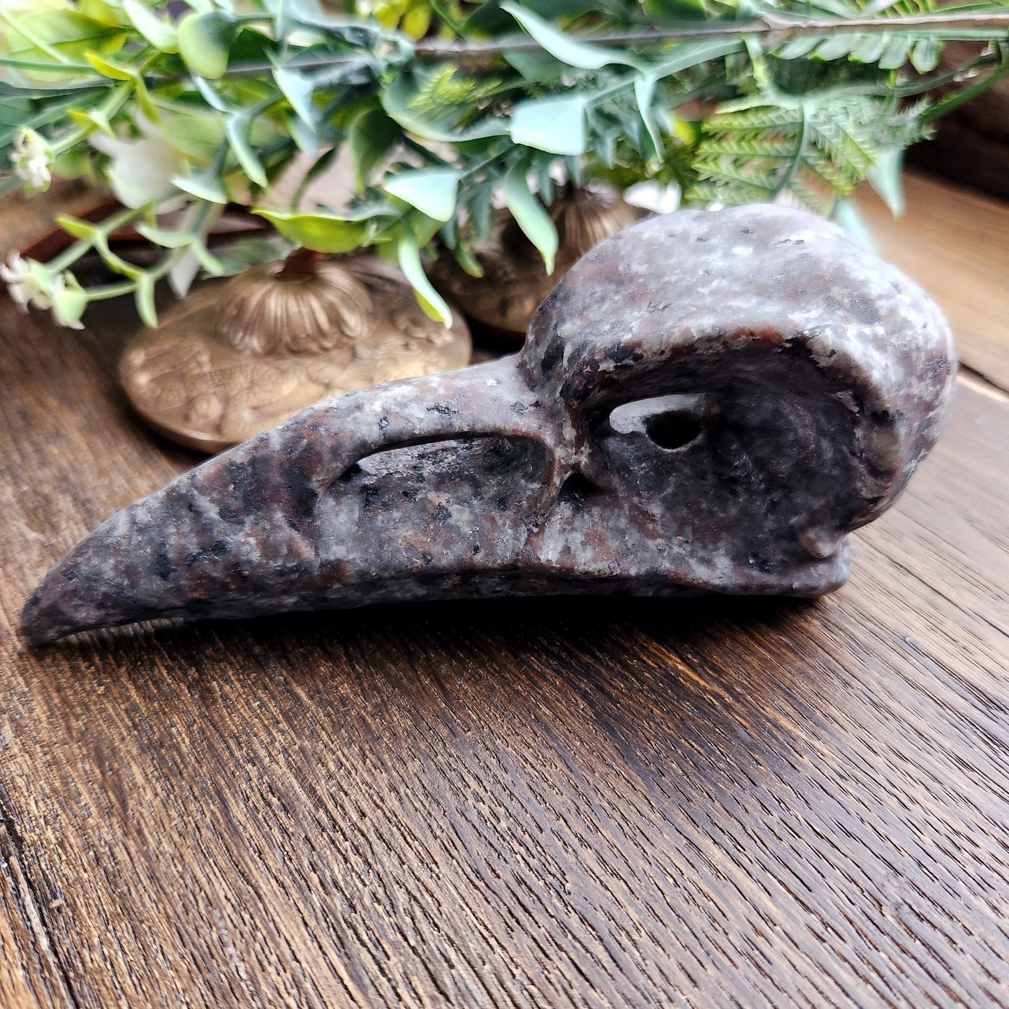 Crâne de corbeau en Yooperlite