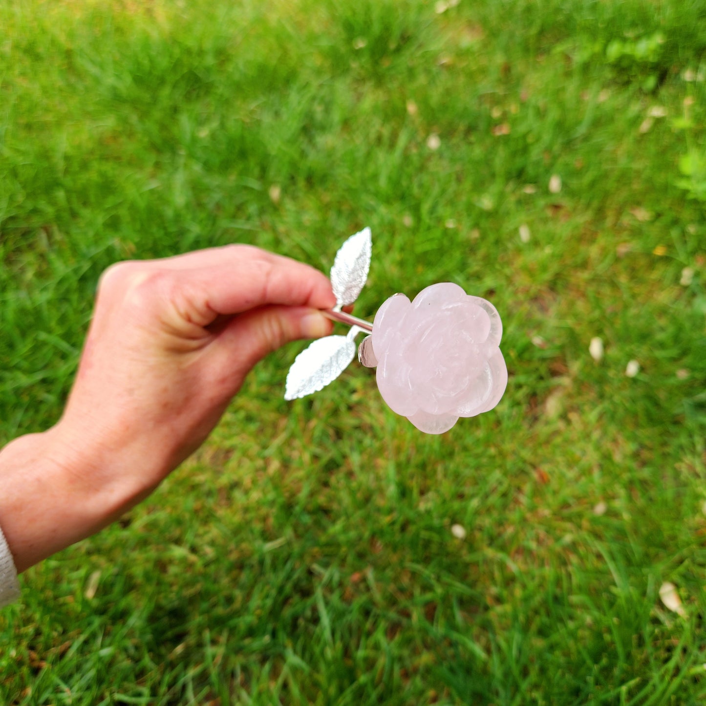 Rose en Quartz Rose