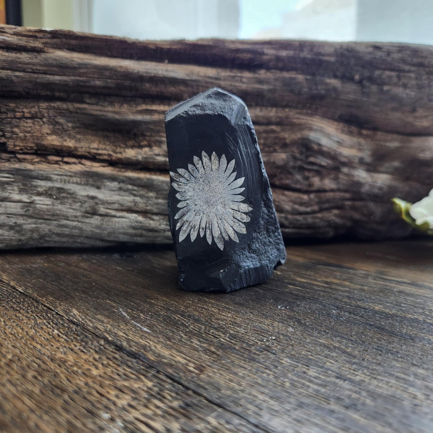 Chrysanthème - n°3