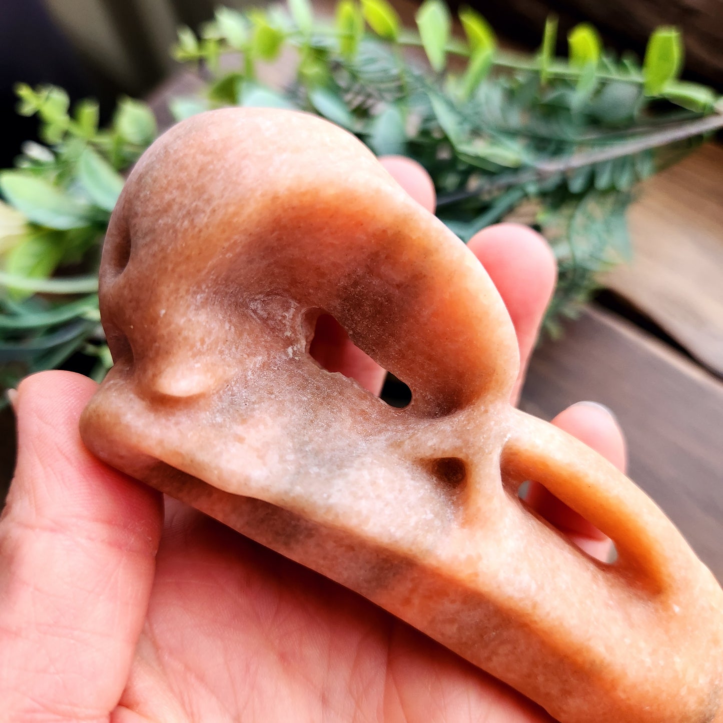 Crâne de corbeau en Pierre de soleil