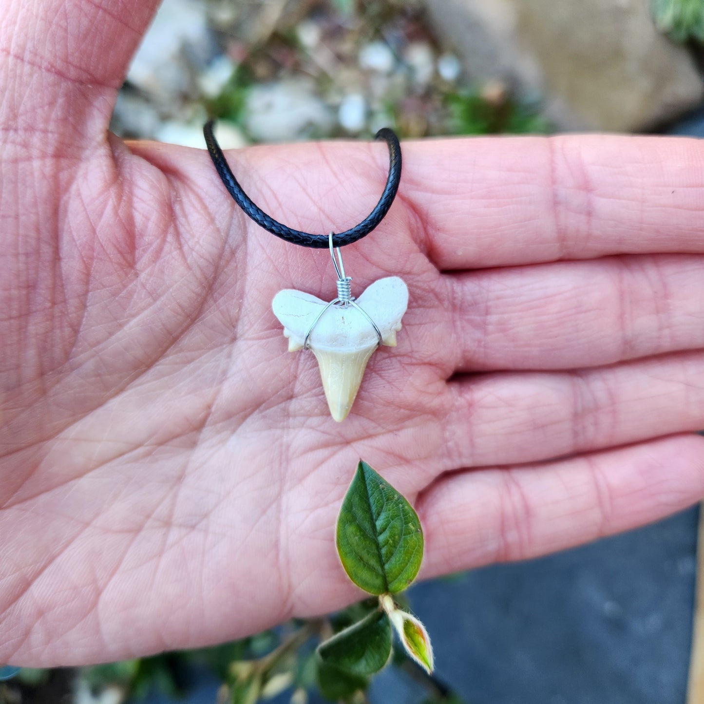 Dent de requin en collier - Beige