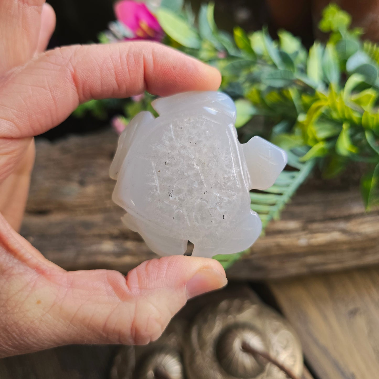 Tortue en Agate n°1