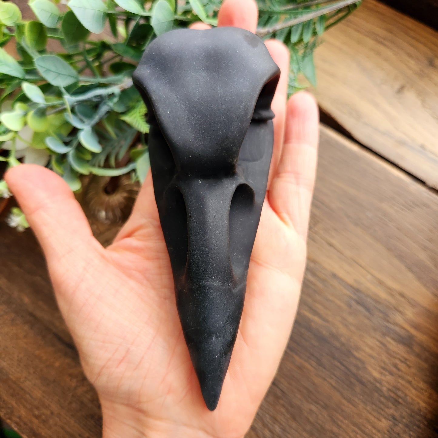 Crâne de corbeau en Obsidienne noire