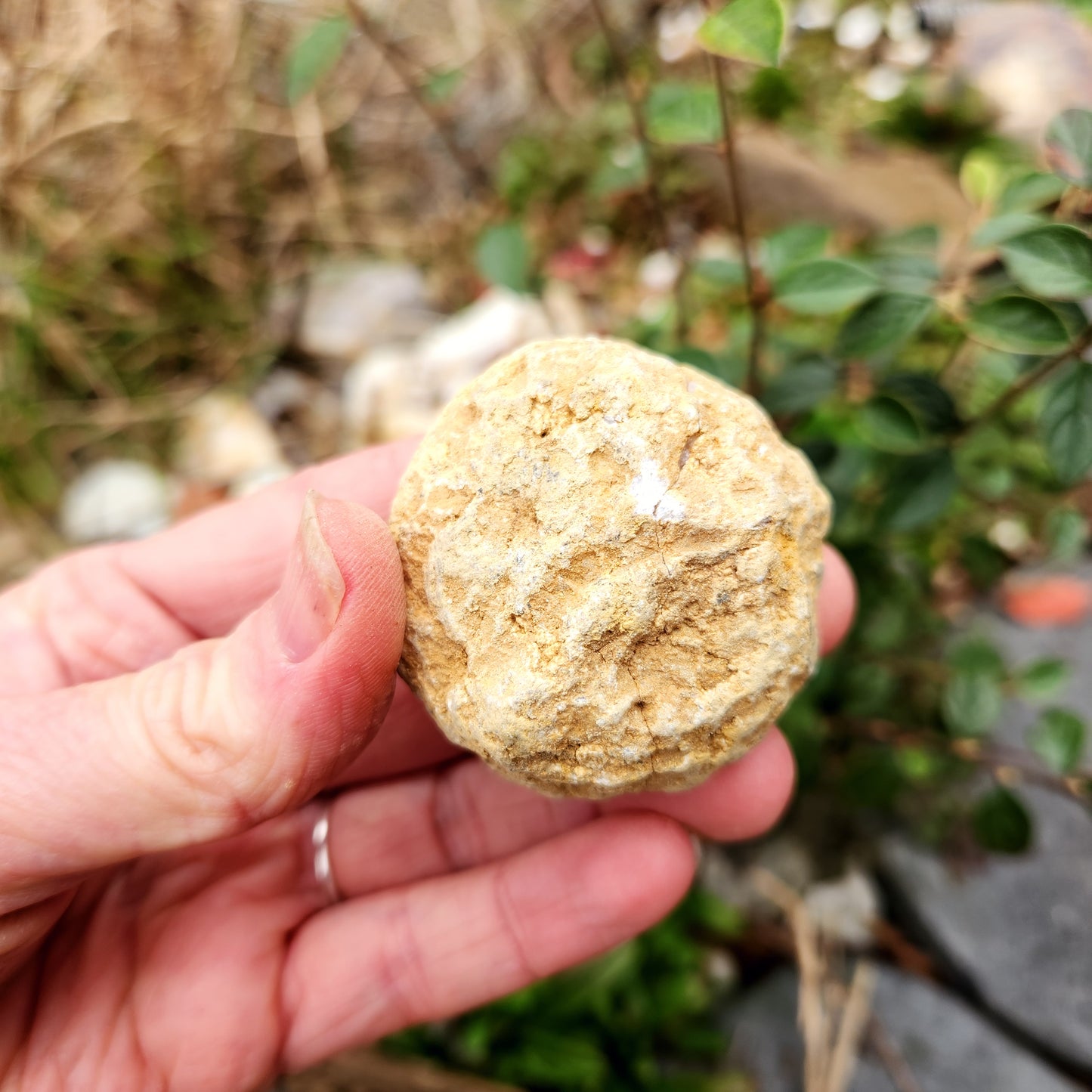 Géode en Cristal de roche - Petite - n°9