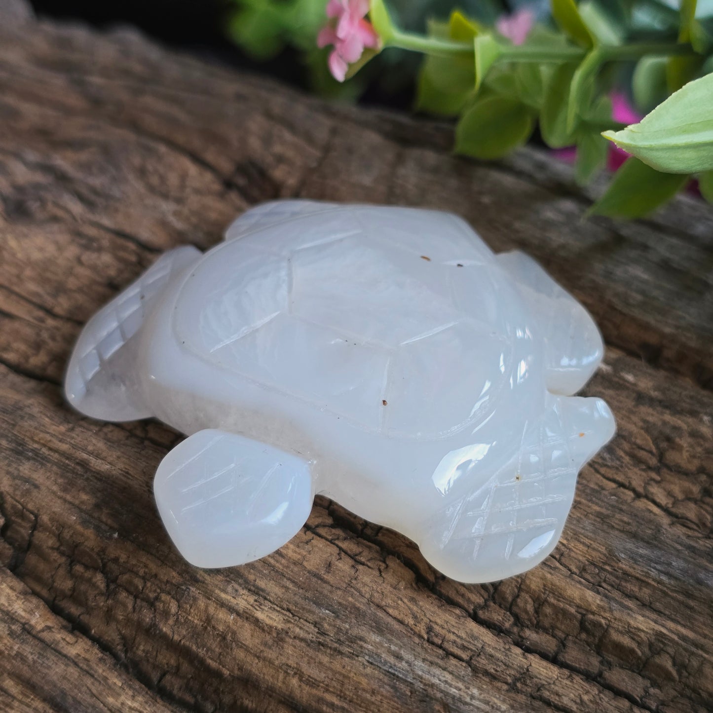 Tortue en Agate n°3