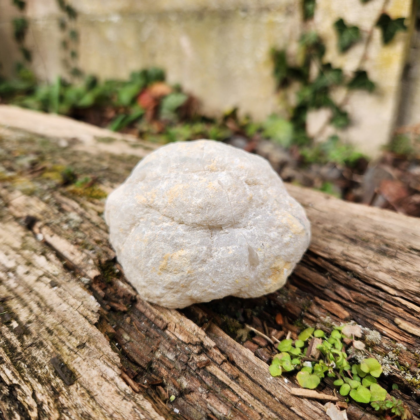 Géode en Cristal de roche - Moyenne - n°3