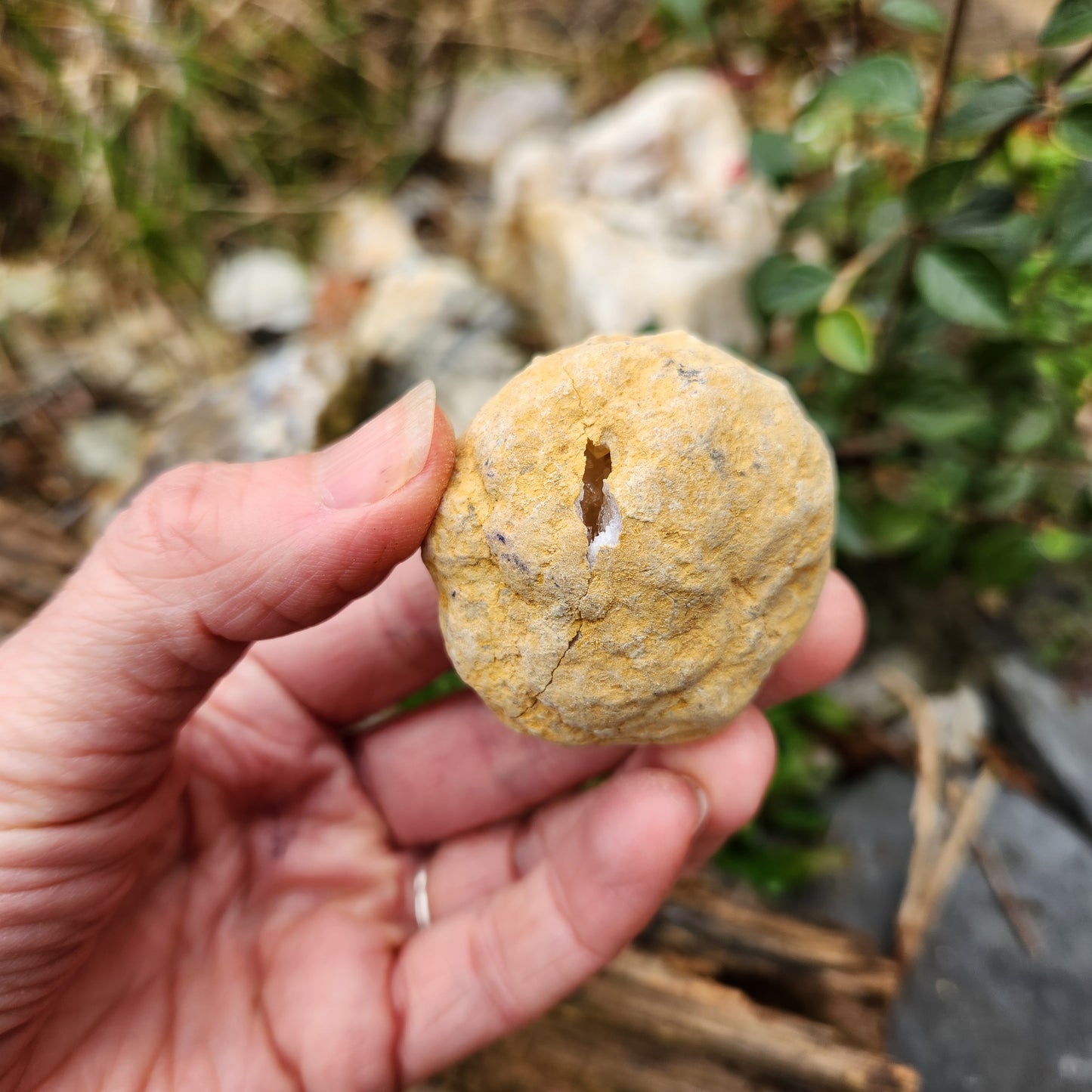 Géode en Cristal de roche - Petite - n°6