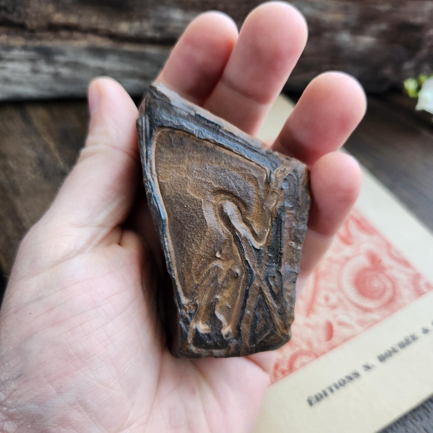 Ecriture du désert - n°1