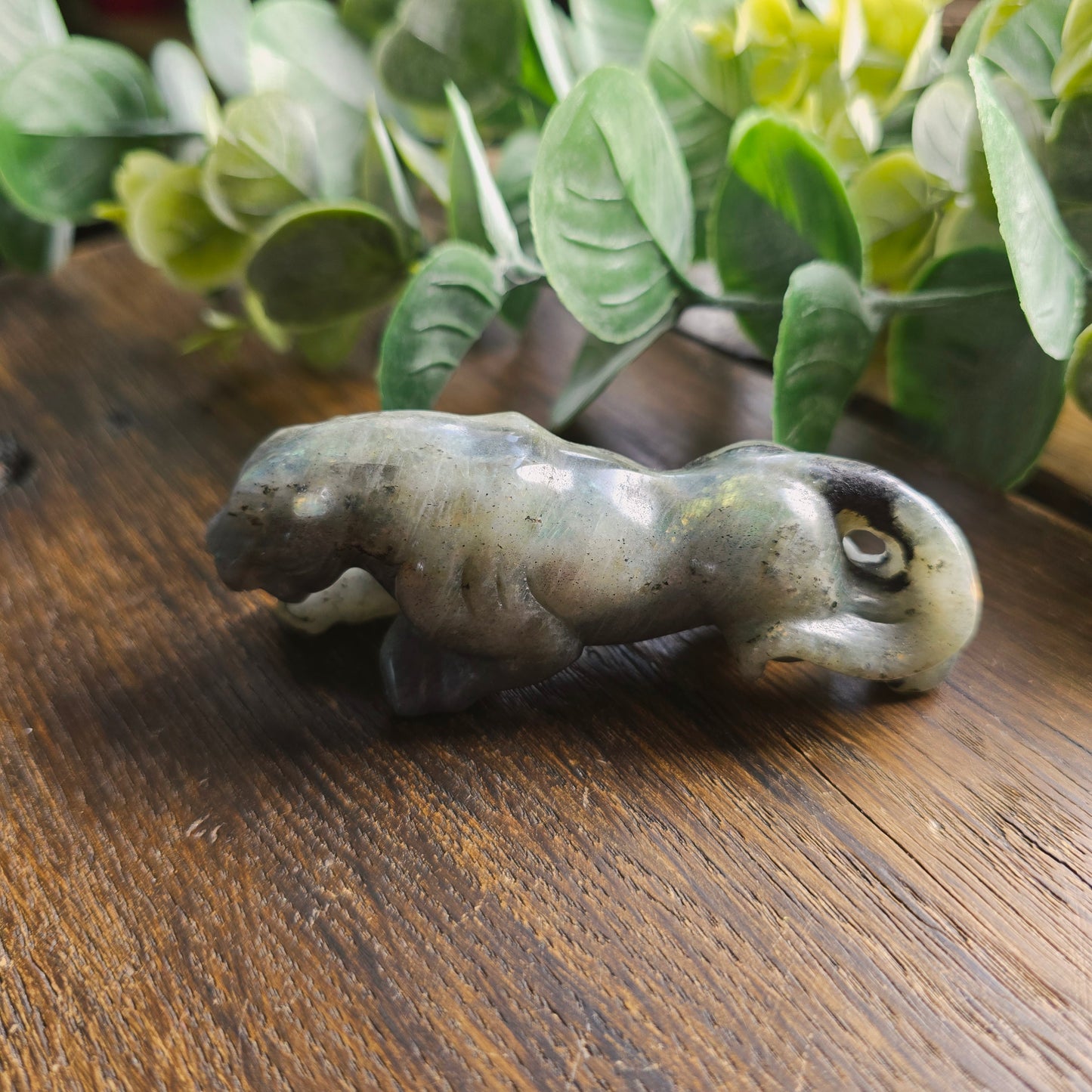 Léopard Labradorite - n°1