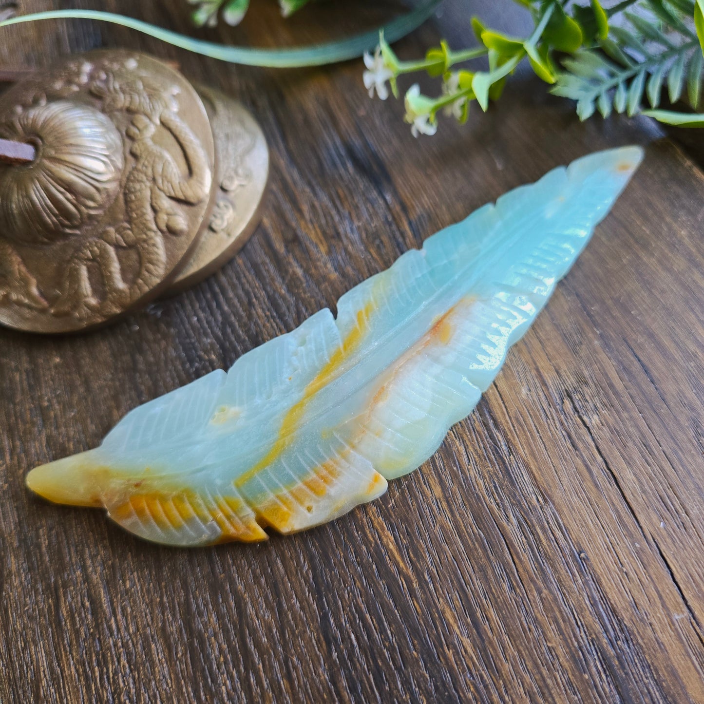Plume en Amazonite