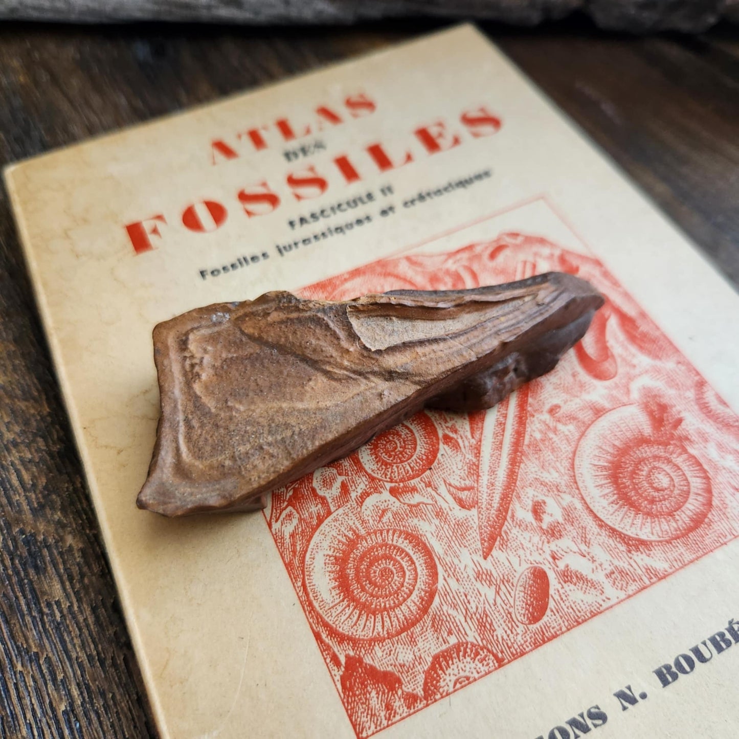 Ecriture du désert - n°3