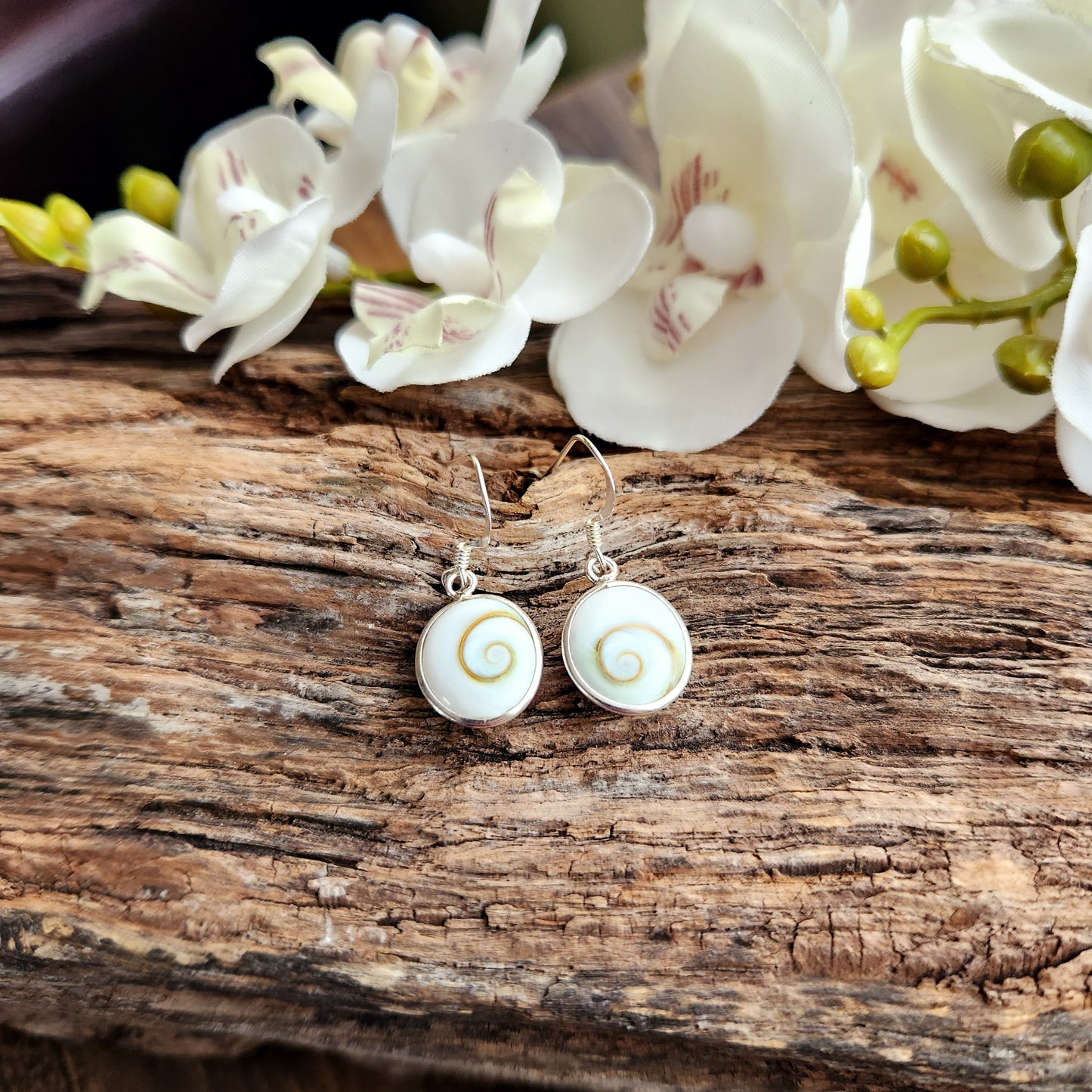 Boucles d'oreilles en Œil de Ste-Lucie - Ovale - Argent 925