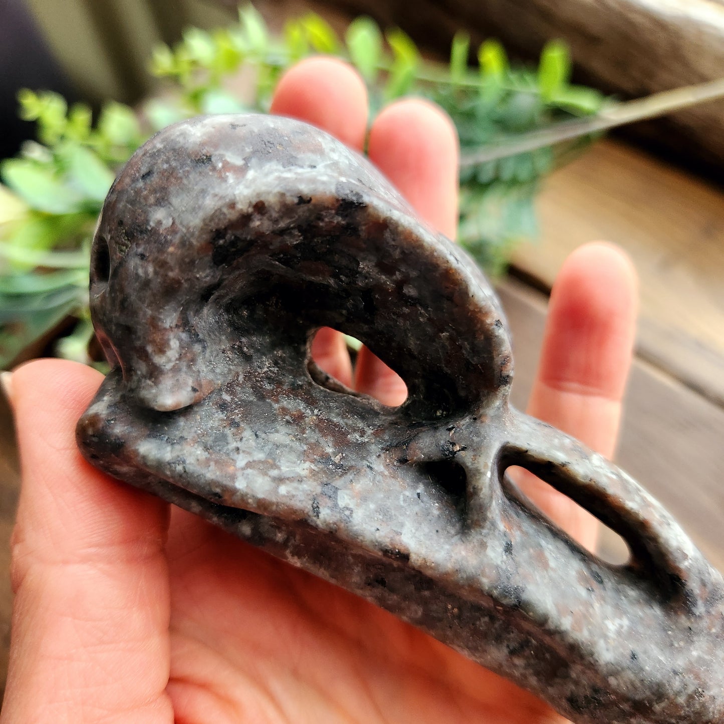 Crâne de corbeau en Yooperlite