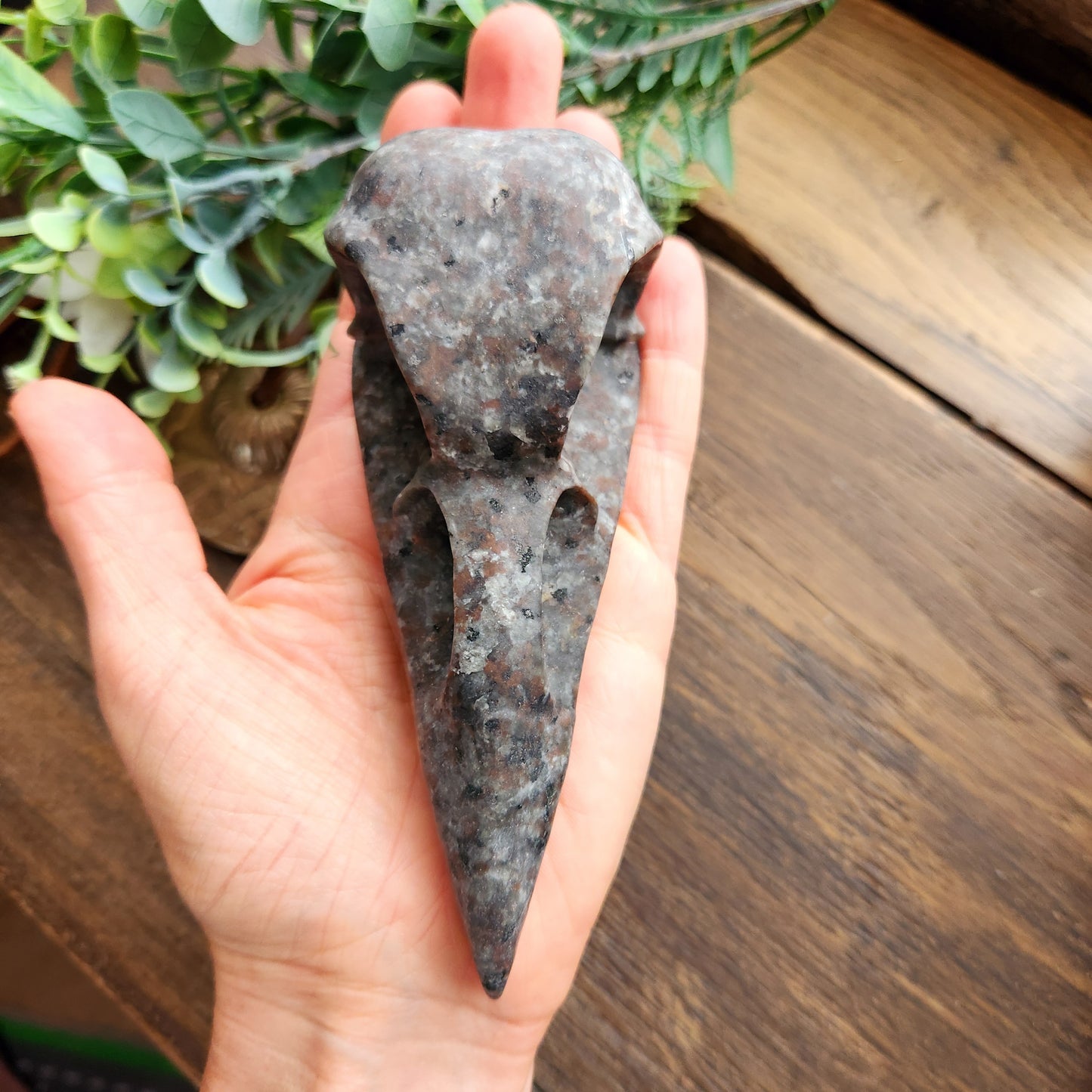 Crâne de corbeau en Yooperlite