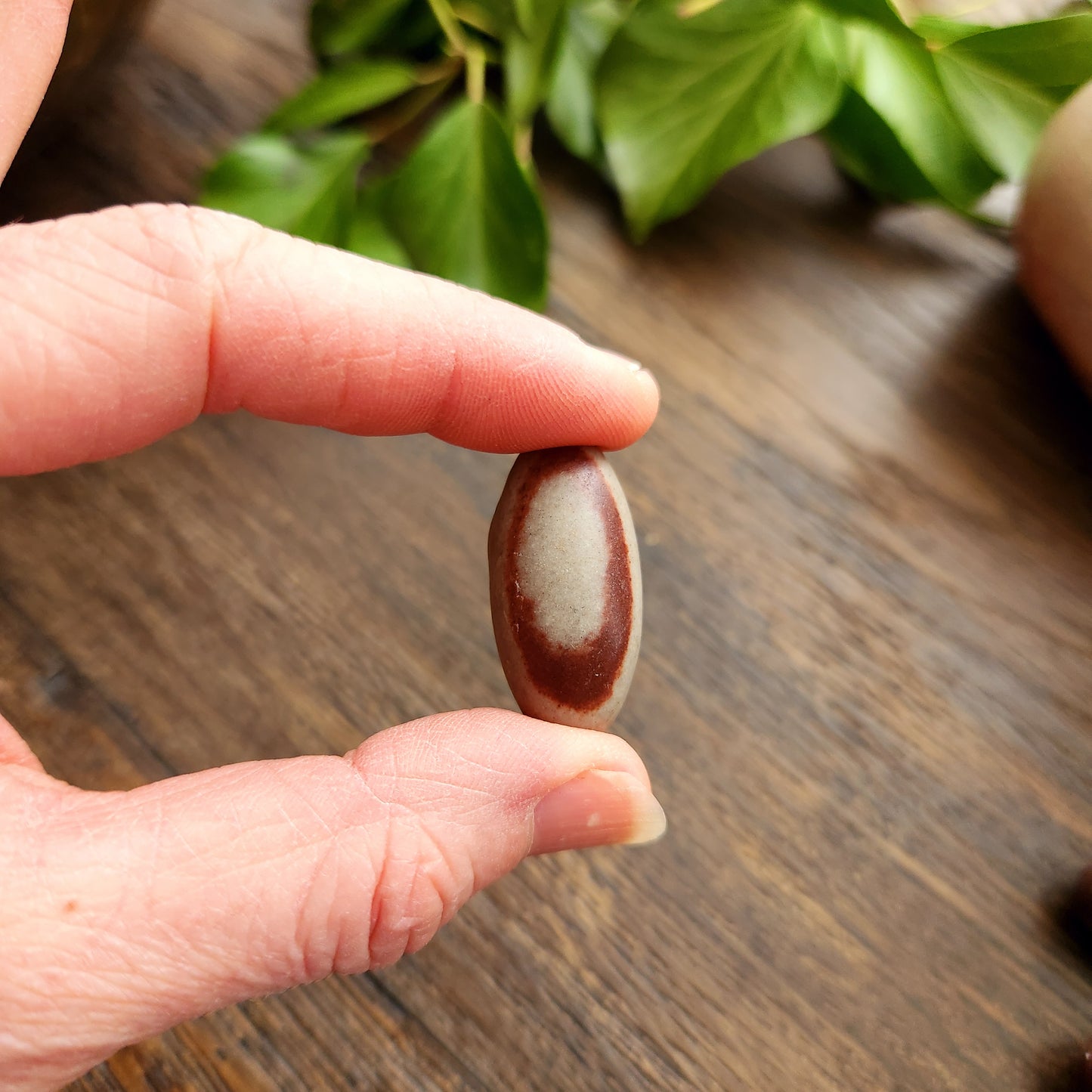 Shiva Lingam marron - Petit