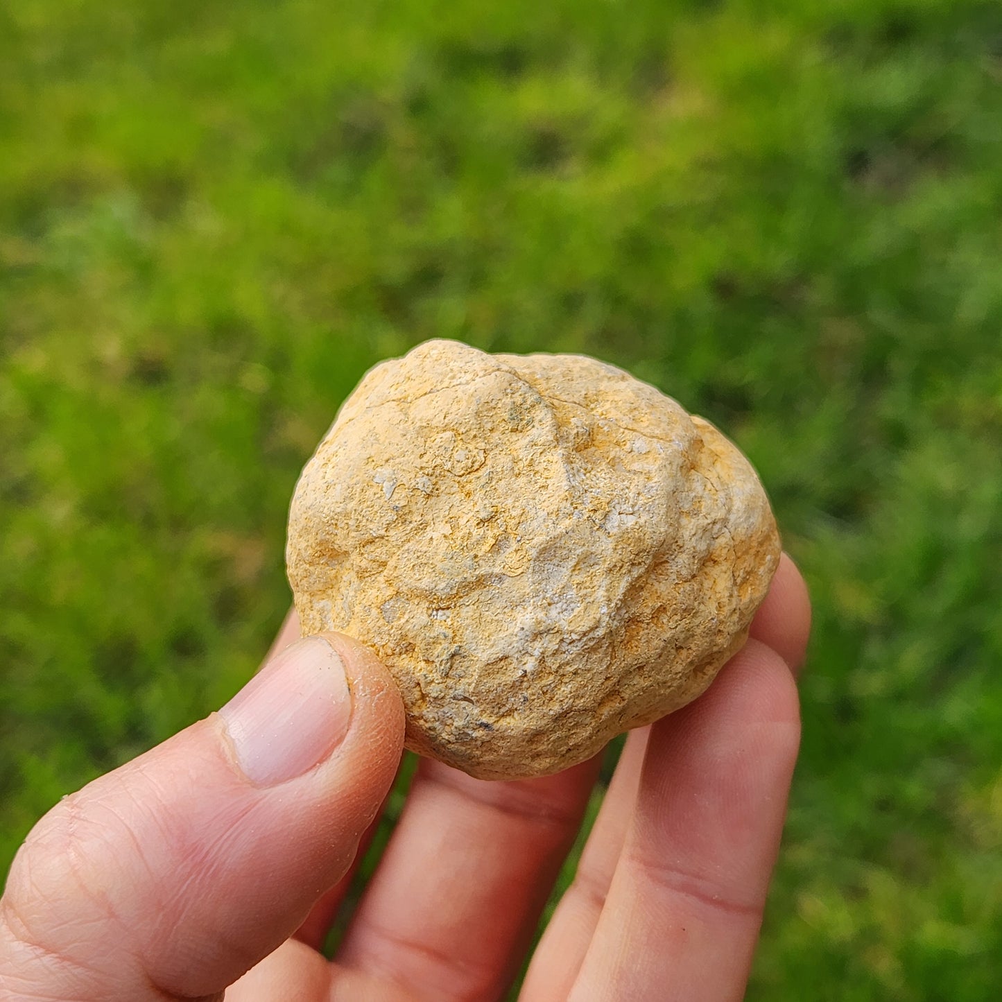 Géode en Cristal de roche - Petite - n°4