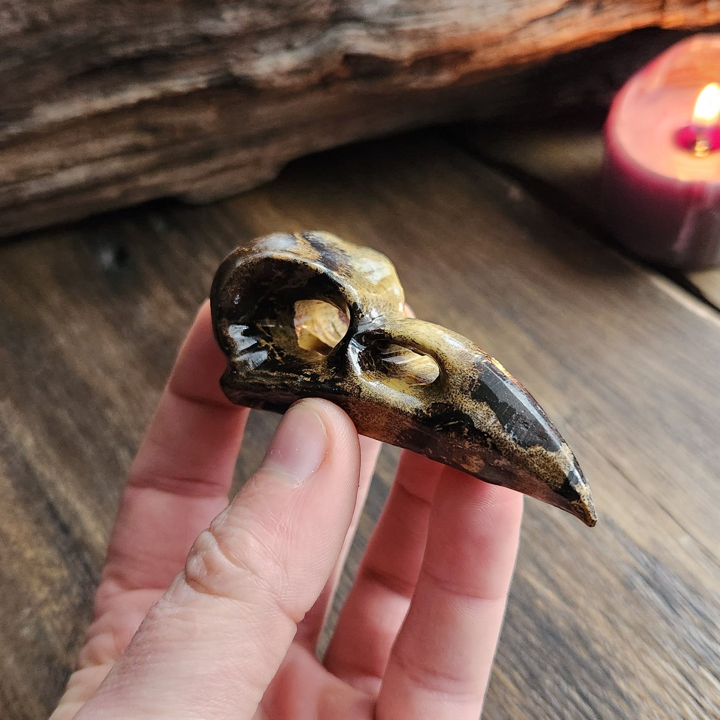 Crâne de corbeau en Bois fossilisé n°1