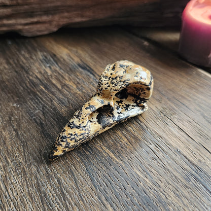 Crâne de corbeau en Bois fossilisé n°2