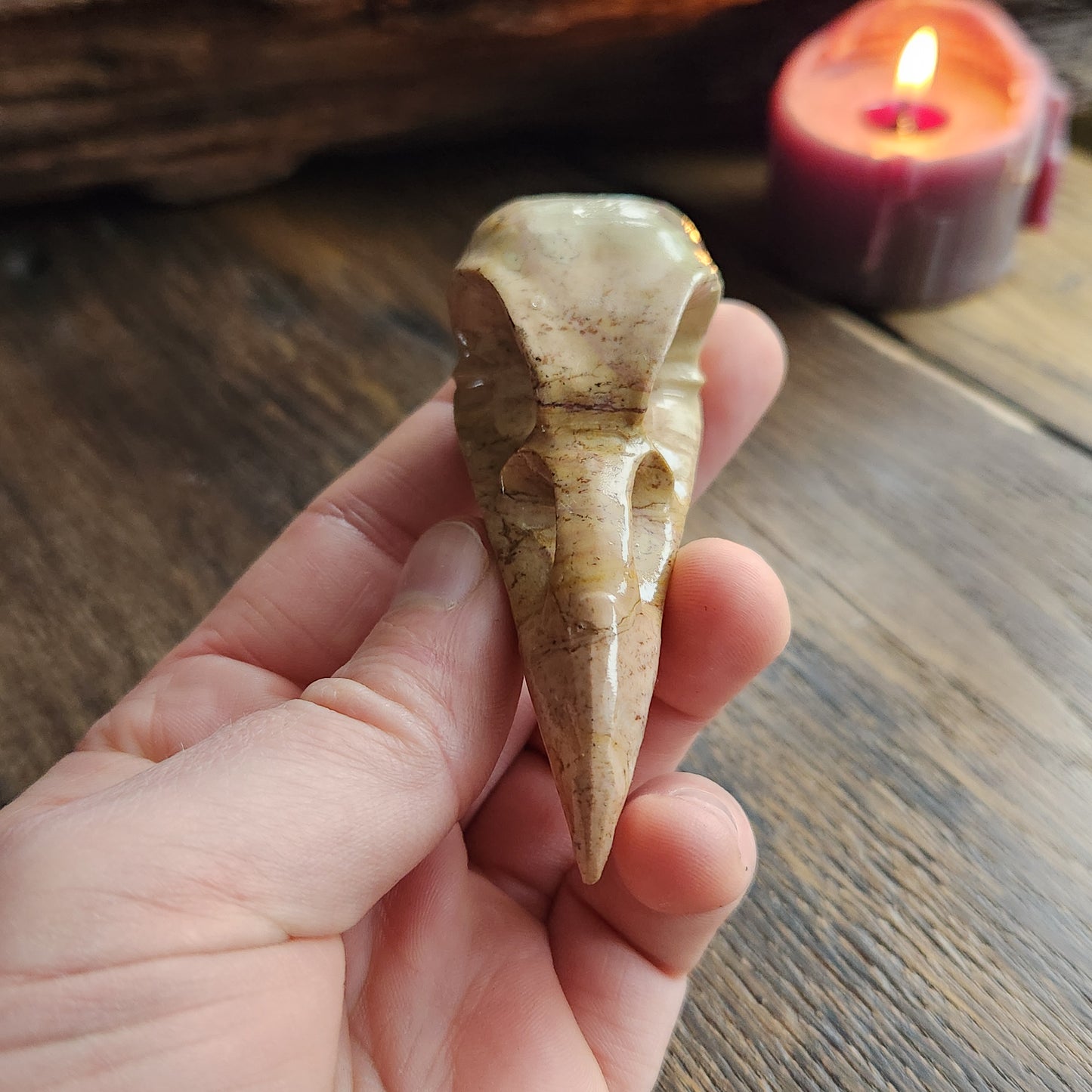 Crâne de corbeau en Bois fossilisé n°4