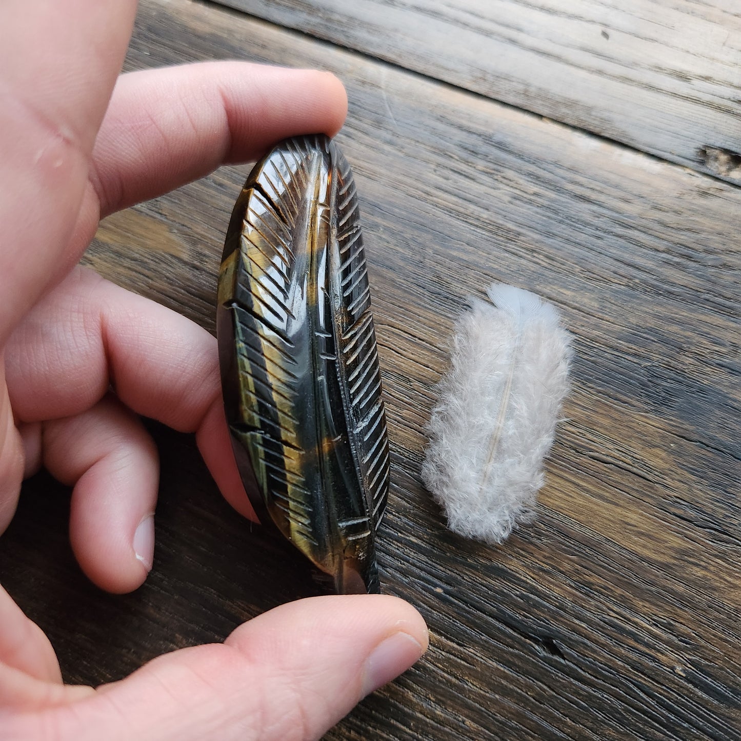 Plume en Œil de tigre