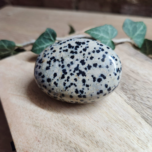 Galet en Jaspe Dalmatien - n°1