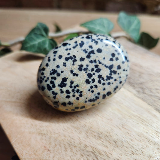 Galet en Jaspe Dalmatien - n°3