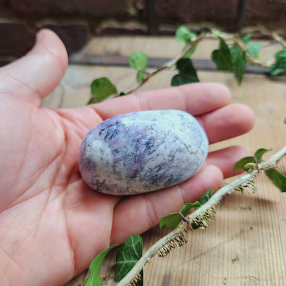 Galet en Agate Dendritique violette - n°1
