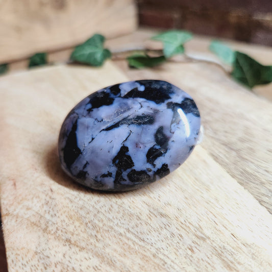 Galet en Gabbro - n°2