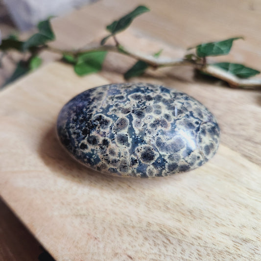 Galet en Jaspe peau de serpent - n°2