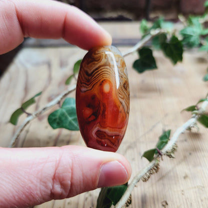 Galet en Sardonyx - n°1