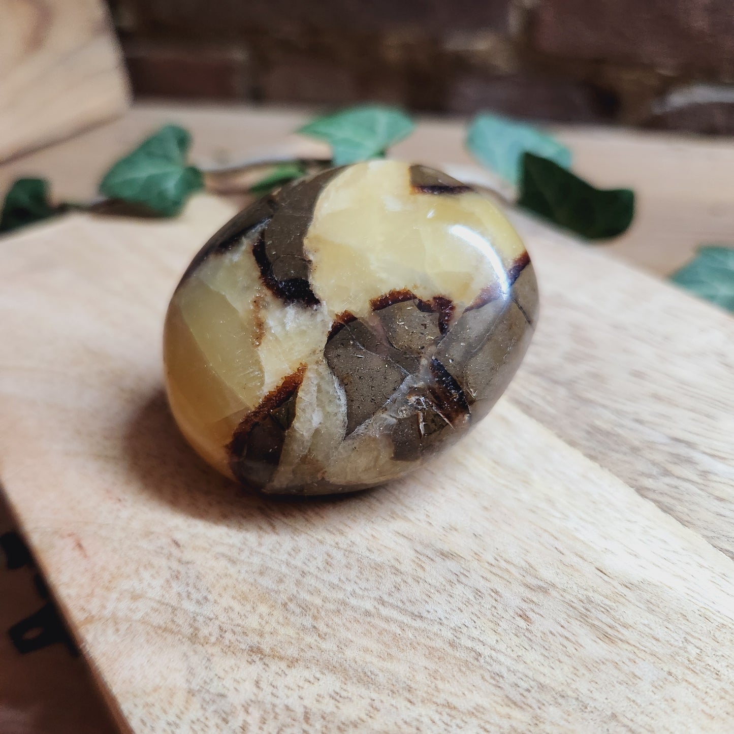 Galet en Septaria - n°1