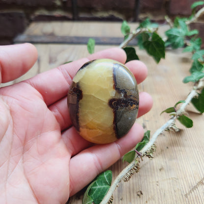 Galet en Septaria - n°1