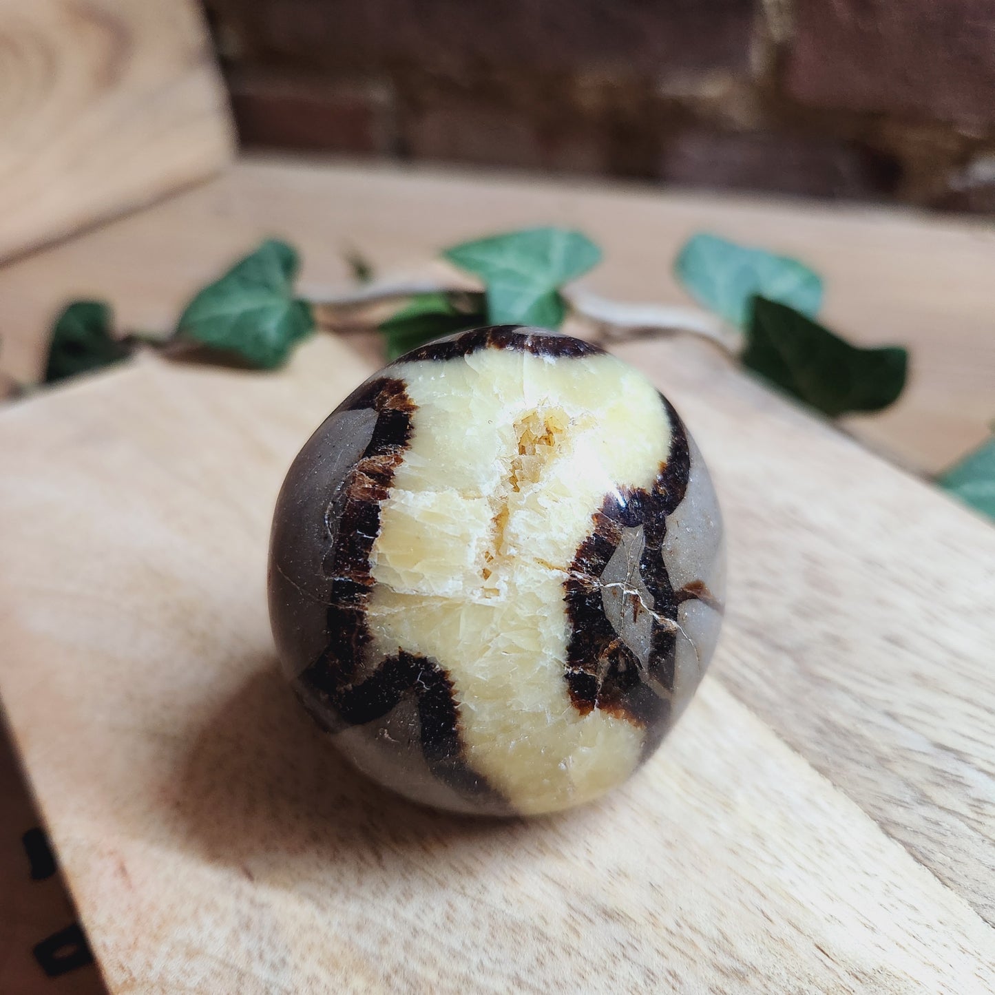 Galet en Septaria - n°2