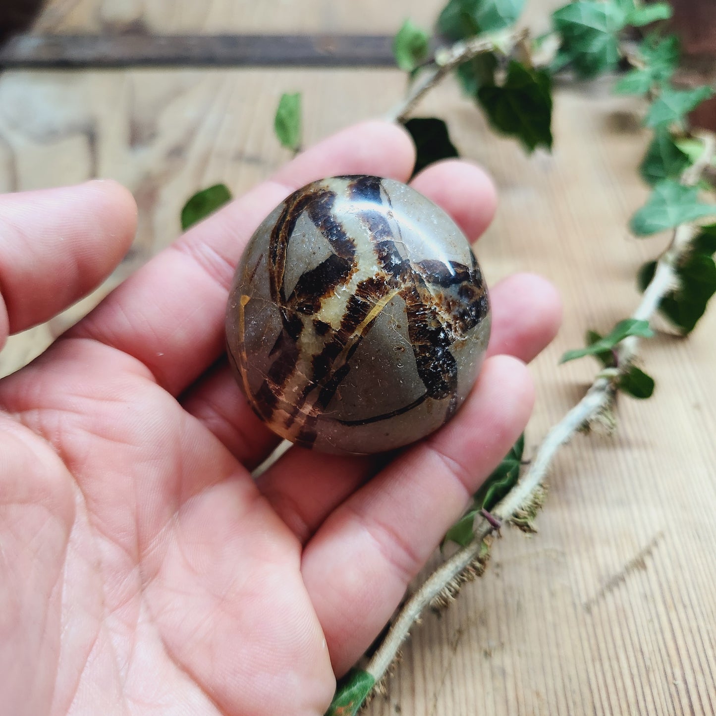 Galet en Septaria - n°2