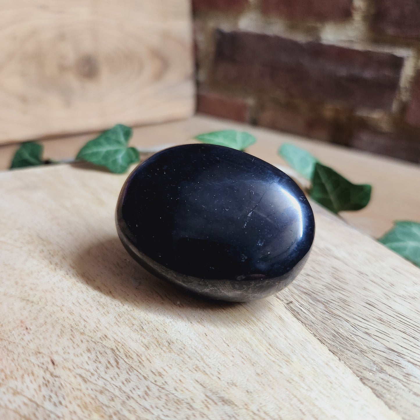 Galet en Shungite - n°1