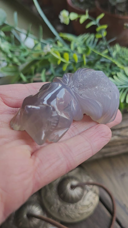 Renard en Agate n°3