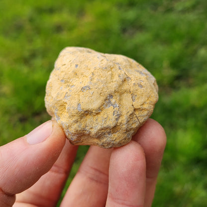 Géode en Cristal de roche - Petite - n°1