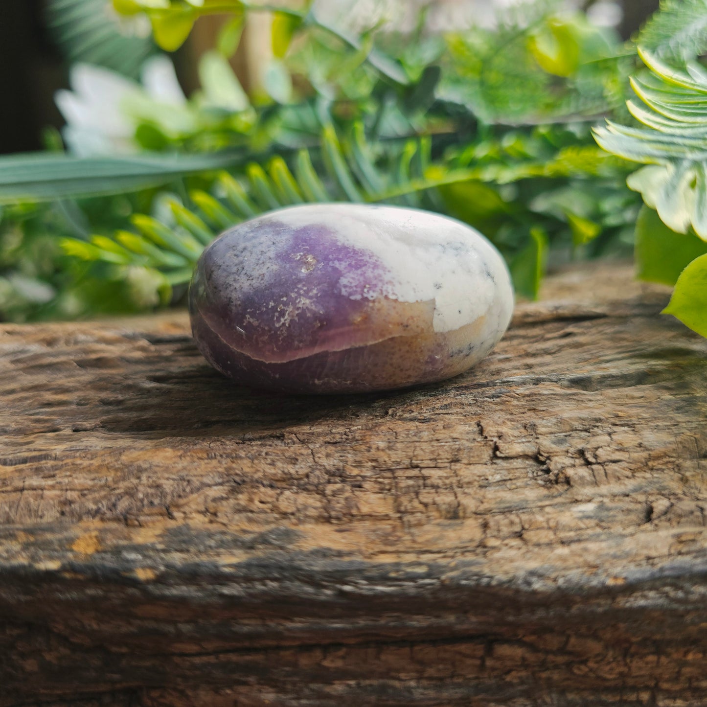 Galet en Agate Dendritique violette - n°1