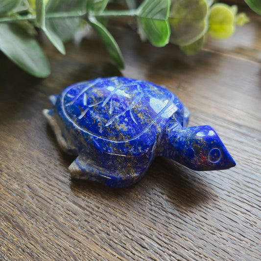 Tortue en Lapis lazuli