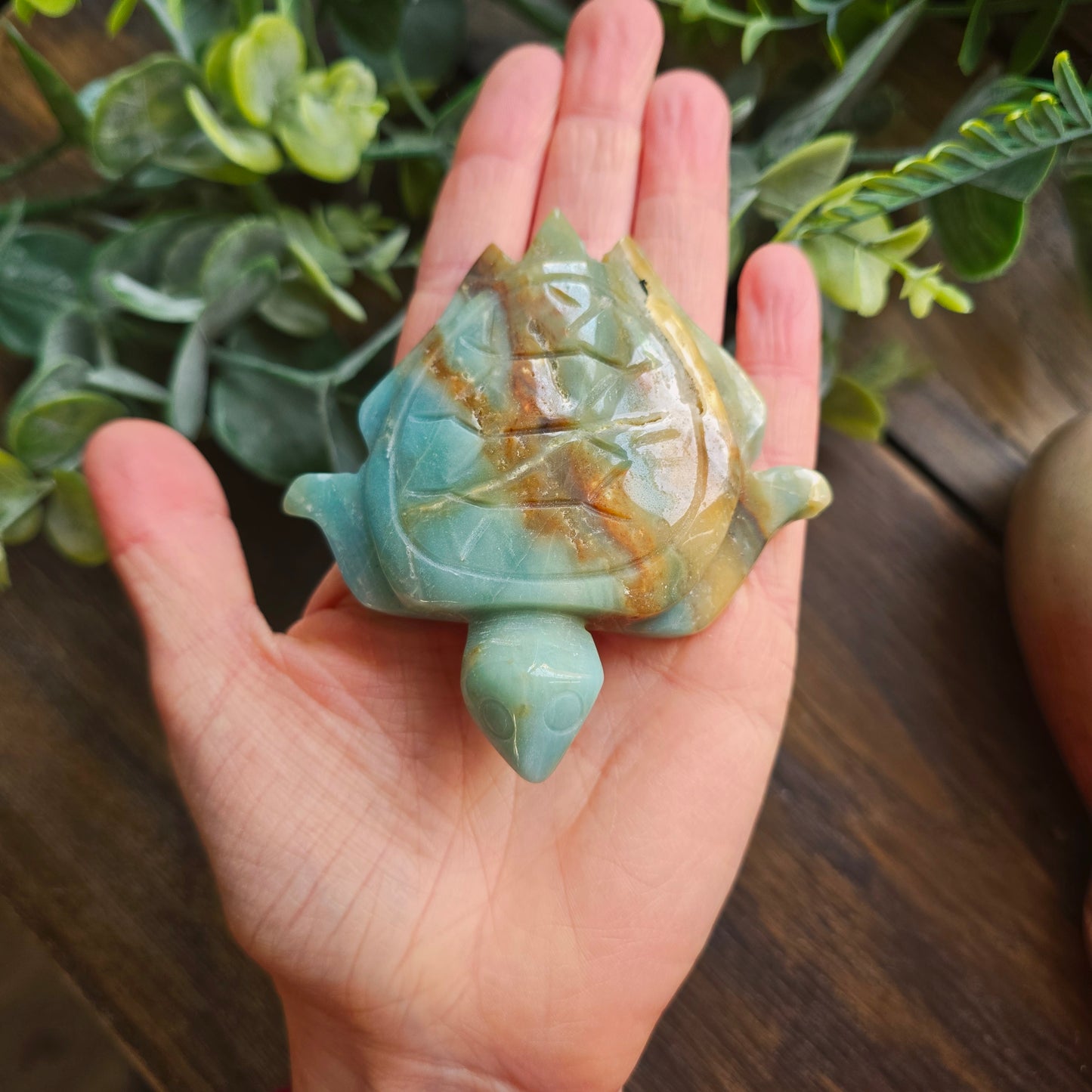 Tortue en Amazonite