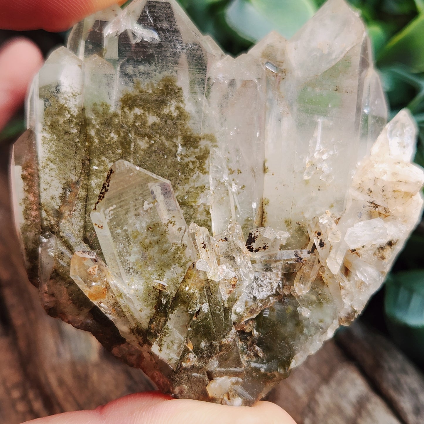Quartz Chlorite montagne
