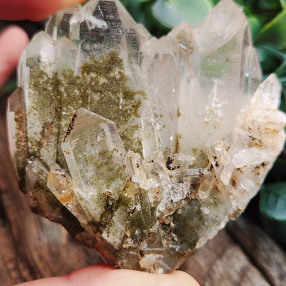 Quartz Chlorite montagne